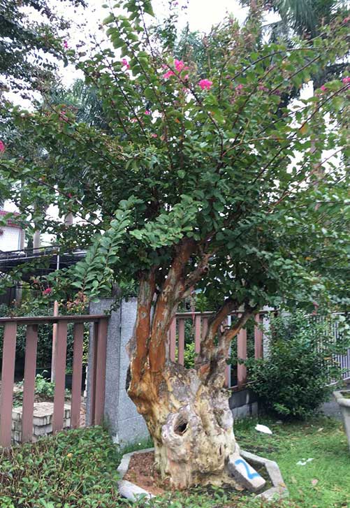亚博体育（中国）官网 - 亚博系列全平台入口